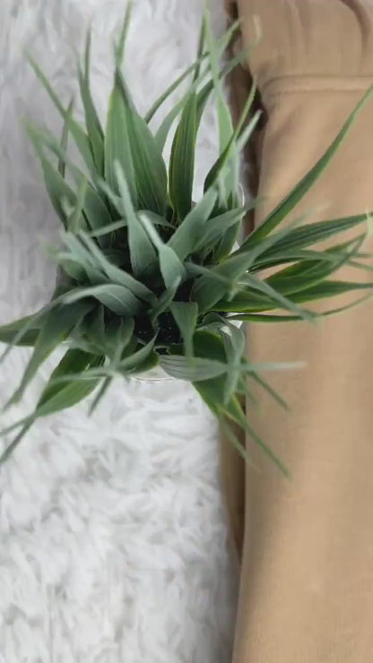 Custom Coloured Portrait Sweater